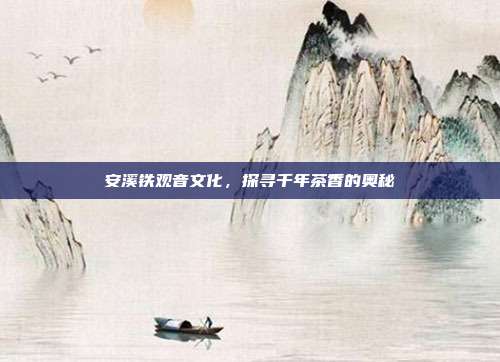 安溪铁观音文化，探寻千年茶香的奥秘
