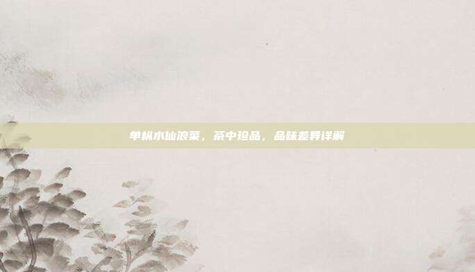 单枞水仙浪菜，茶中珍品，品味差异详解