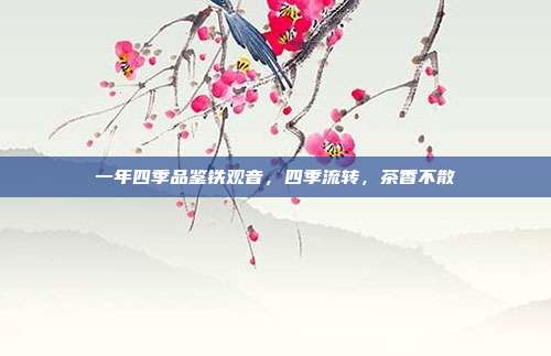 一年四季品鉴铁观音，四季流转，茶香不散