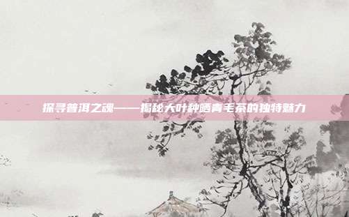 探寻普洱之魂——揭秘大叶种晒青毛茶的独特魅力
