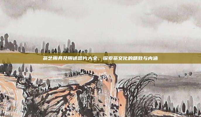 茶艺用具及用途图片大全，探索茶文化的精致与内涵