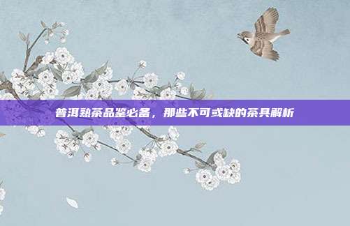 普洱熟茶品鉴必备，那些不可或缺的茶具解析