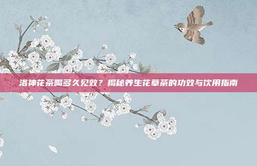 洛神花茶喝多久见效？揭秘养生花草茶的功效与饮用指南