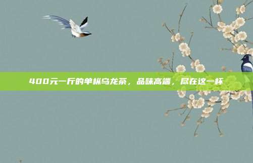 400元一斤的单枞乌龙茶，品味高端，尽在这一杯