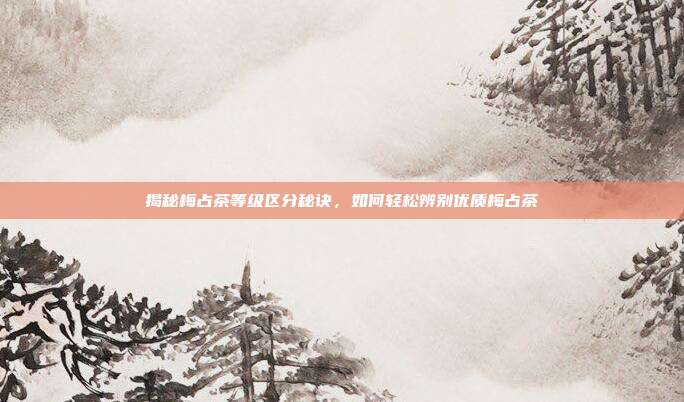 揭秘梅占茶等级区分秘诀，如何轻松辨别优质梅占茶