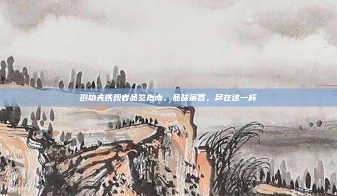 斟功夫铁观音品鉴指南，品味茶香，尽在这一杯