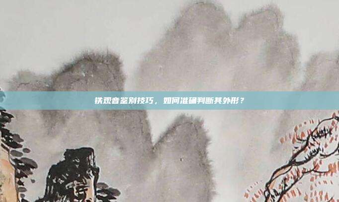 铁观音鉴别技巧，如何准确判断其外形？