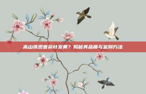 高山铁观音茶叶发黄？揭秘其品质与鉴别方法