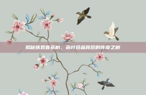 揭秘铁观音茶树，茶叶珍品背后的传奇之树