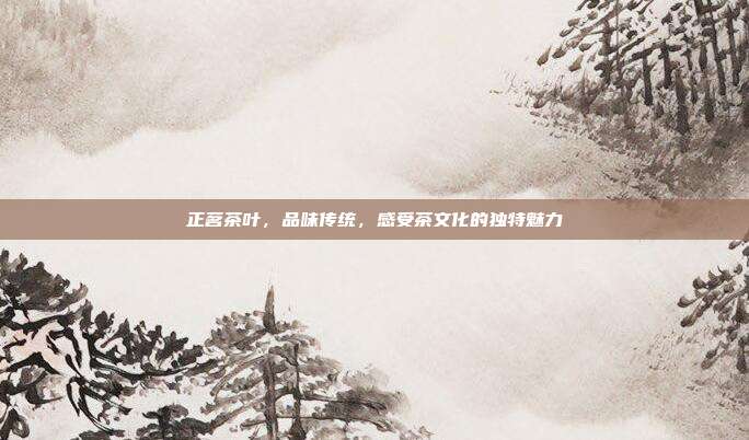 正茗茶叶，品味传统，感受茶文化的独特魅力