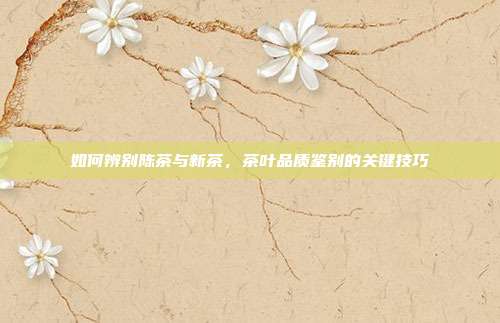 如何辨别陈茶与新茶，茶叶品质鉴别的关键技巧