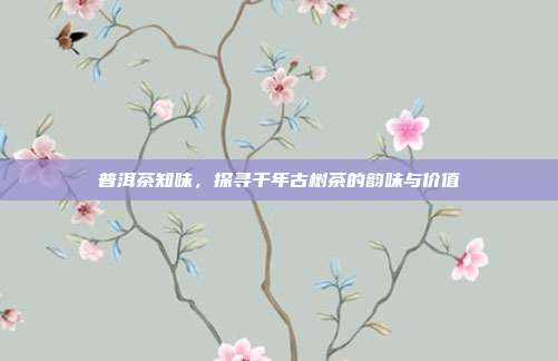 普洱茶知味，探寻千年古树茶的韵味与价值