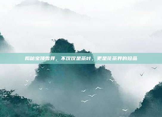 揭秘宝顶雪芽，不仅仅是茶叶，更是花茶界的珍品