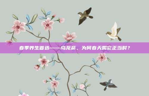 春季养生首选——乌龙茶，为何春天喝它正当时？