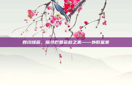 四川绿茶，探寻巴蜀茶韵之美——外形鉴赏