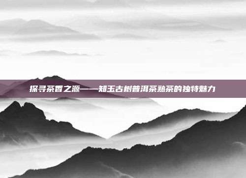 探寻茶香之源——知玉古树普洱茶熟茶的独特魅力
