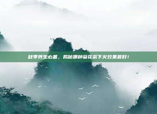 秋季养生必备，揭秘哪种菊花茶下火效果最好！