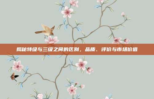 揭秘特级与三级之间的区别，品质、评价与市场价值