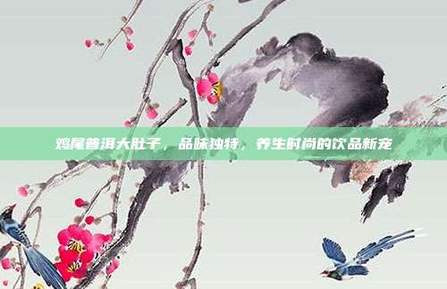 鸡尾普洱大肚子，品味独特，养生时尚的饮品新宠