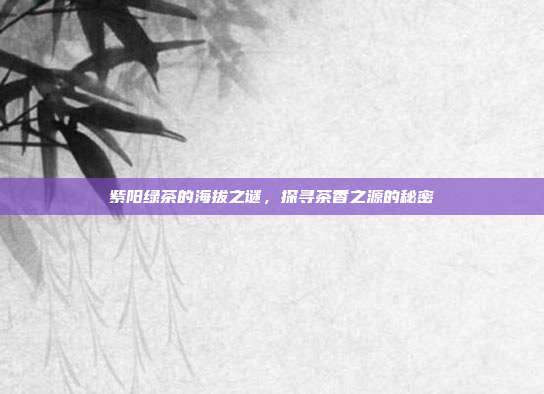紫阳绿茶的海拔之谜，探寻茶香之源的秘密