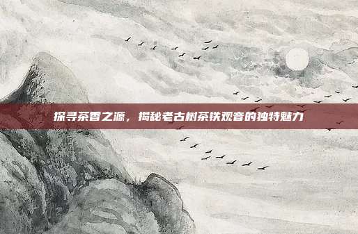 探寻茶香之源，揭秘老古树茶铁观音的独特魅力