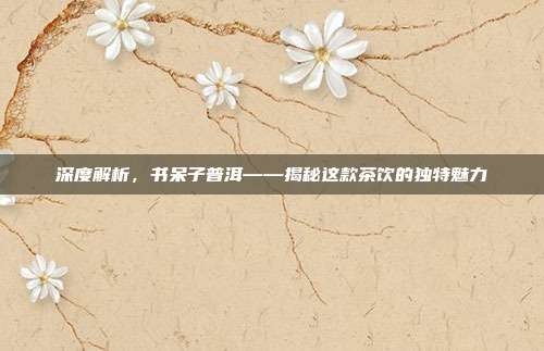 深度解析，书呆子普洱——揭秘这款茶饮的独特魅力