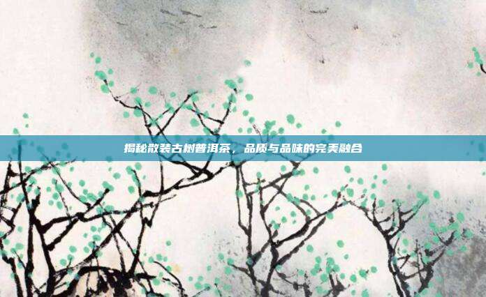 揭秘散装古树普洱茶，品质与品味的完美融合
