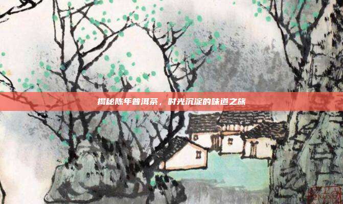 揭秘陈年普洱茶，时光沉淀的味道之旅
