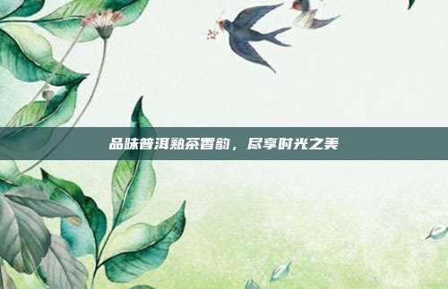 品味普洱熟茶香韵，尽享时光之美