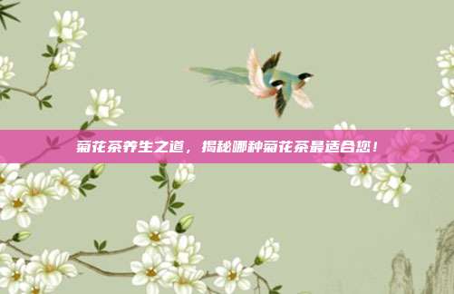 菊花茶养生之道，揭秘哪种菊花茶最适合您！