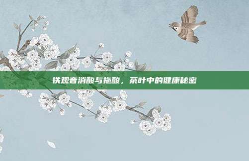铁观音消酸与拖酸，茶叶中的健康秘密