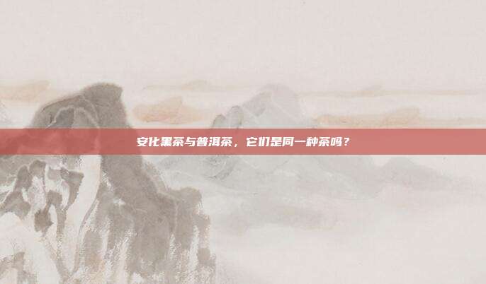 安化黑茶与普洱茶，它们是同一种茶吗？