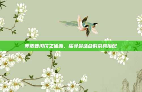 陈皮普洱饮之佳器，探寻最适合的茶具搭配