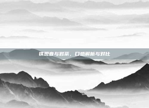 铁观音与岩茶，口感解析与对比