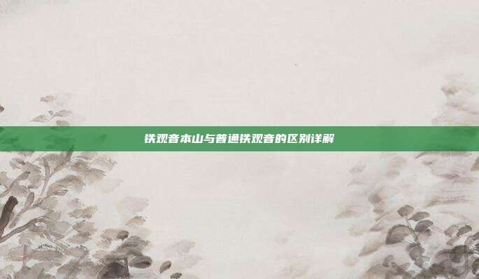 铁观音本山与普通铁观音的区别详解
