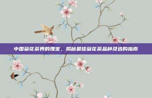 中国菊花茶界的瑰宝，揭秘最佳菊花茶品种及选购指南