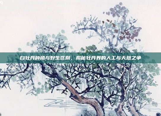 白牡丹种植与野生区别，揭秘牡丹界的人工与天然之争