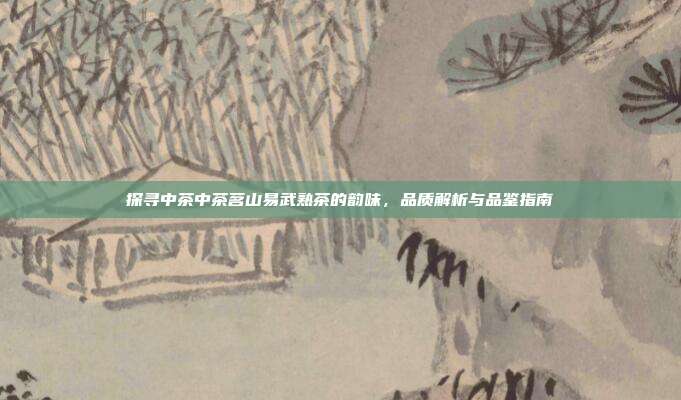 探寻中茶中茶茗山易武熟茶的韵味，品质解析与品鉴指南