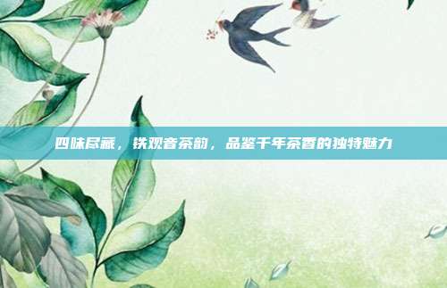 四味尽藏，铁观音茶韵，品鉴千年茶香的独特魅力