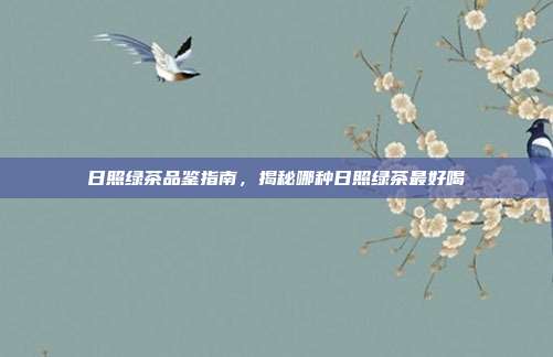 日照绿茶品鉴指南，揭秘哪种日照绿茶最好喝