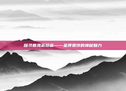 探寻普洱茶珍品——金芽贡饼的神秘魅力