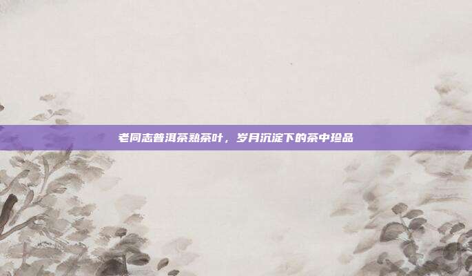 老同志普洱茶熟茶叶，岁月沉淀下的茶中珍品