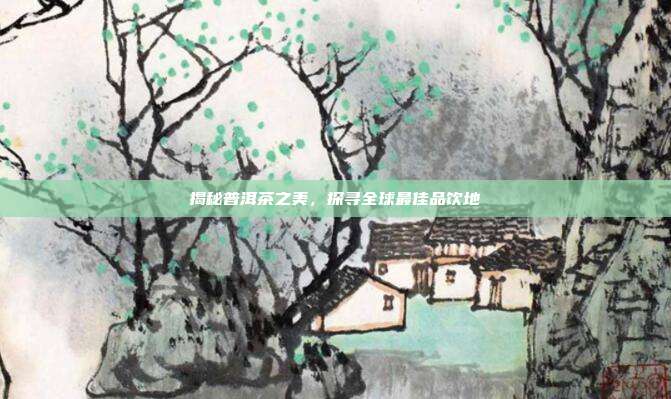 揭秘普洱茶之美，探寻全球最佳品饮地