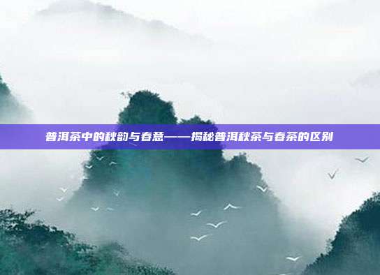 普洱茶中的秋韵与春意——揭秘普洱秋茶与春茶的区别