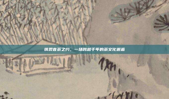 铁观音茶之约，一场跨越千年的茶文化邂逅