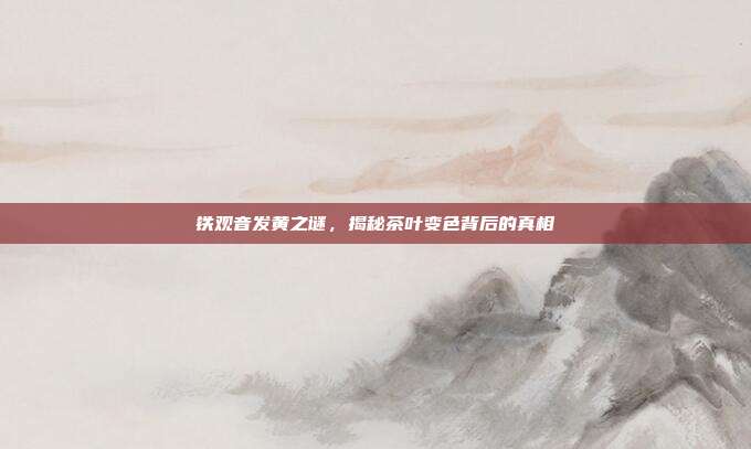铁观音发黄之谜，揭秘茶叶变色背后的真相