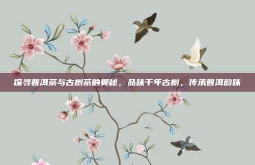 探寻普洱茶与古树茶的奥秘，品味千年古树，传承普洱韵味