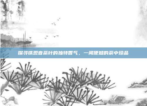 探寻铁观音茶叶的独特香气，一闻便知的茶中珍品