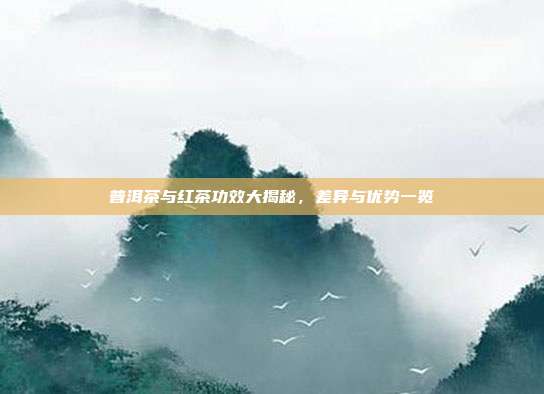 普洱茶与红茶功效大揭秘，差异与优势一览