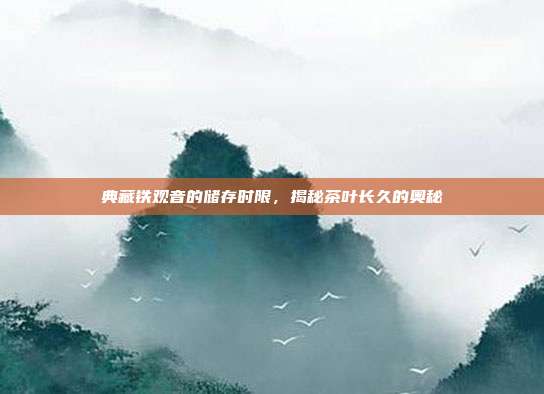 典藏铁观音的储存时限，揭秘茶叶长久的奥秘